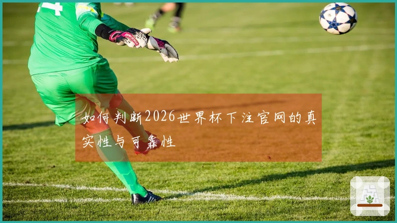 如何判断2026世界杯下注官网的真实性与可靠性