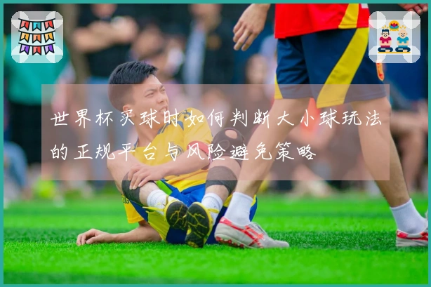 世界杯买球时如何判断大小球玩法的正规平台与风险避免策略