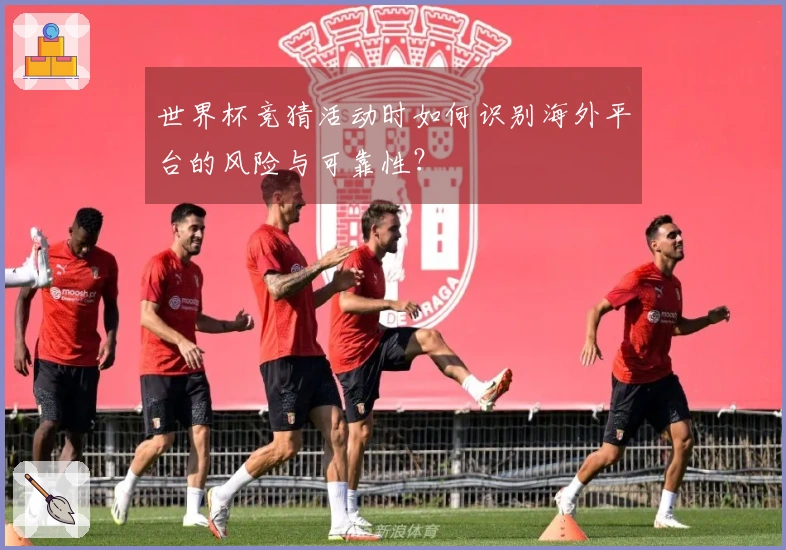 世界杯竞猜活动时如何识别海外平台的风险与可靠性？