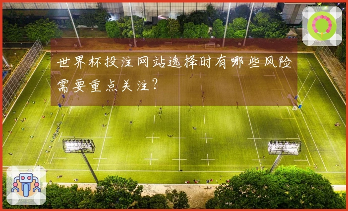 世界杯投注网站选择时有哪些风险需要重点关注？