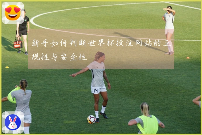 新手如何判断世界杯投注网站的正规性与安全性