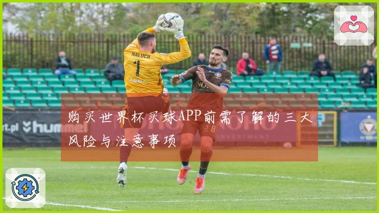 购买世界杯买球APP前需了解的三大风险与注意事项