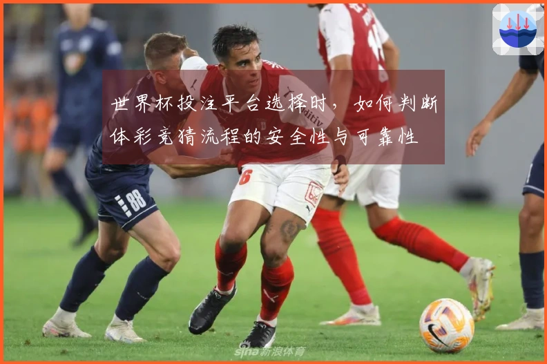 世界杯投注平台选择时，如何判断体彩竞猜流程的安全性与可靠性