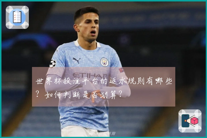 世界杯投注平台的返水规则有哪些？如何判断是否划算？