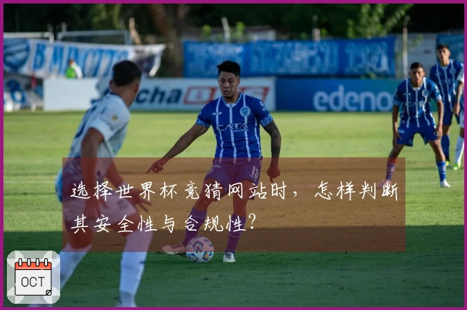 选择世界杯竞猜网站时，怎样判断其安全性与合规性？