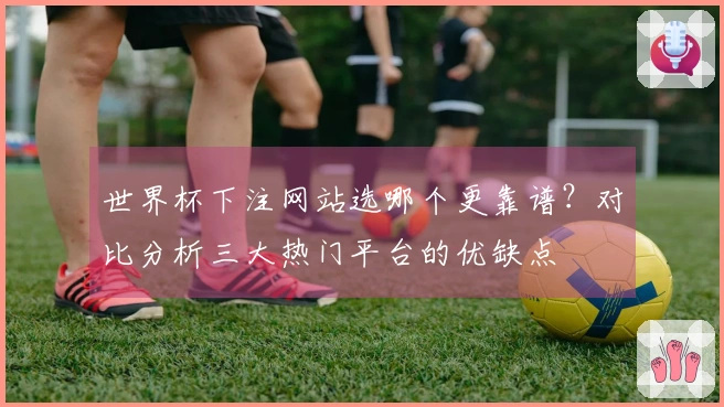 世界杯下注网站选哪个更靠谱？对比分析三大热门平台的优缺点