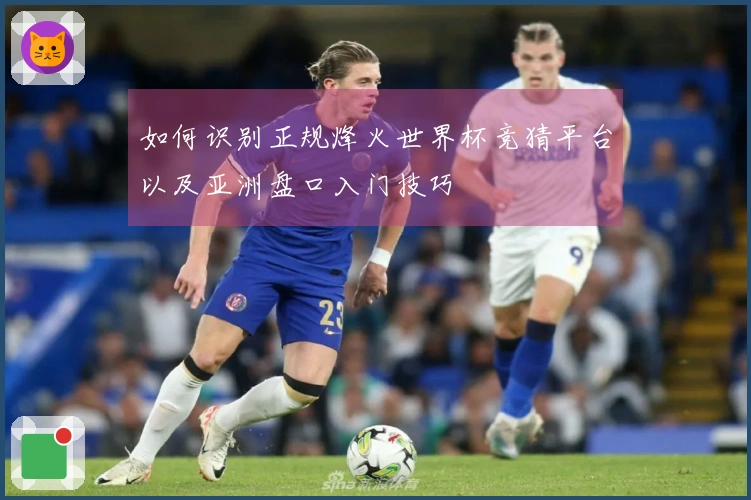如何识别正规烽火世界杯竞猜平台以及亚洲盘口入门技巧