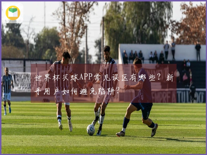 世界杯买球APP常见误区有哪些？新手用户如何避免陷阱？