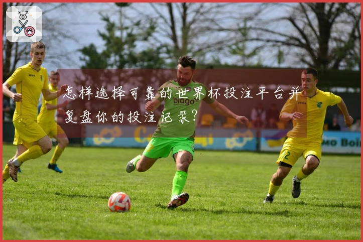 怎样选择可靠的世界杯投注平台并复盘你的投注记录？