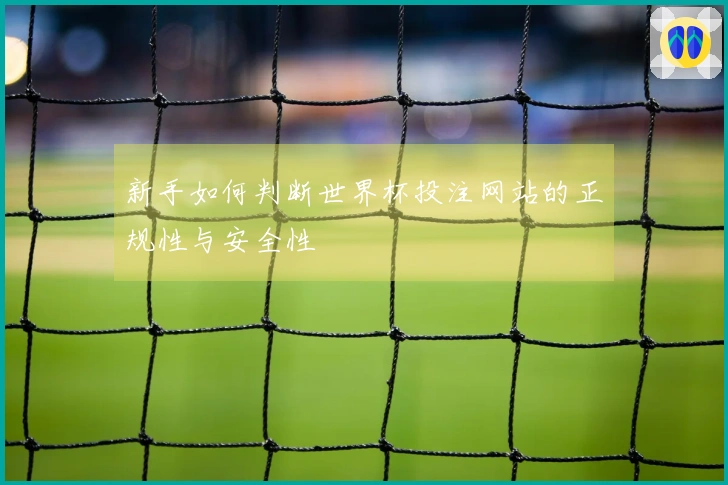 新手如何判断世界杯投注网站的正规性与安全性