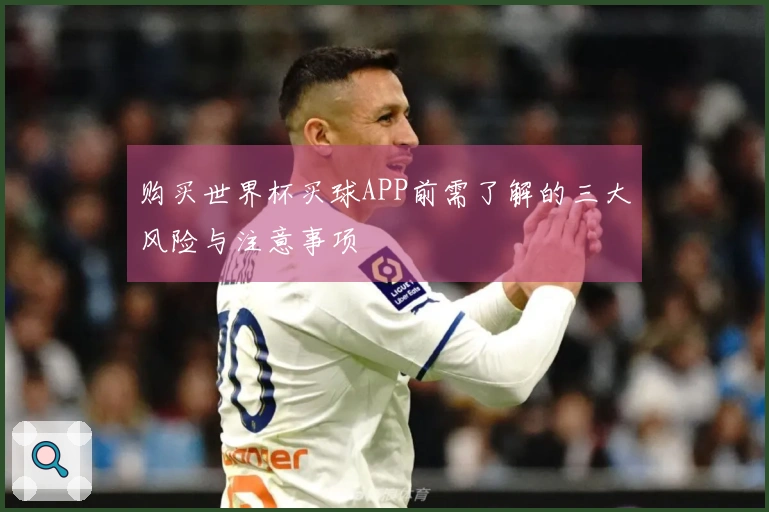 购买世界杯买球APP前需了解的三大风险与注意事项