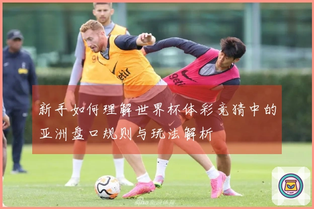 新手如何理解世界杯体彩竞猜中的亚洲盘口规则与玩法解析