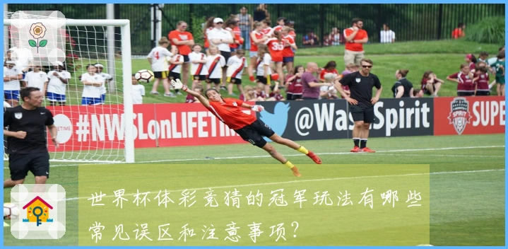 世界杯体彩竞猜的冠军玩法有哪些常见误区和注意事项？