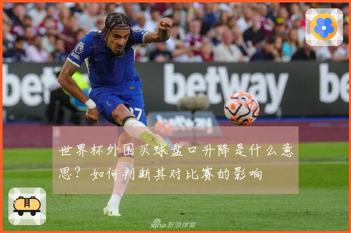 世界杯外围买球盘口升降是什么意思？如何判断其对比赛的影响