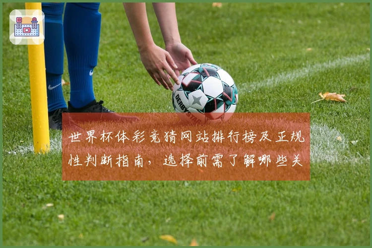 世界杯体彩竞猜网站排行榜及正规性判断指南，选择前需了解哪些关键要素